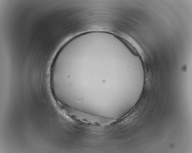 X0000097651096200803211850