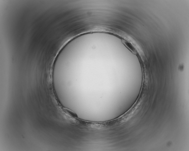 X0000097651097200803211850