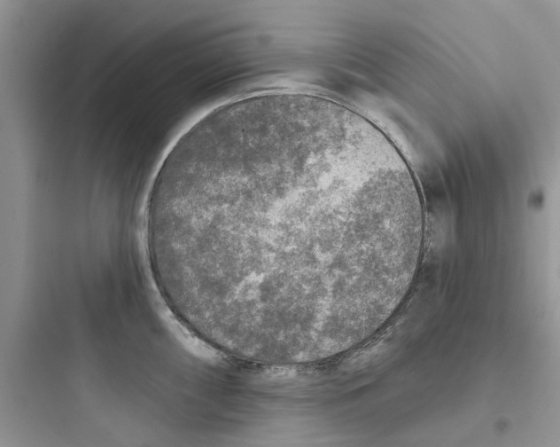 X0000097651098200803211850