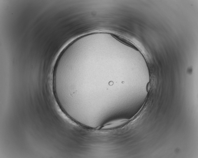 X0000097651100200803211850