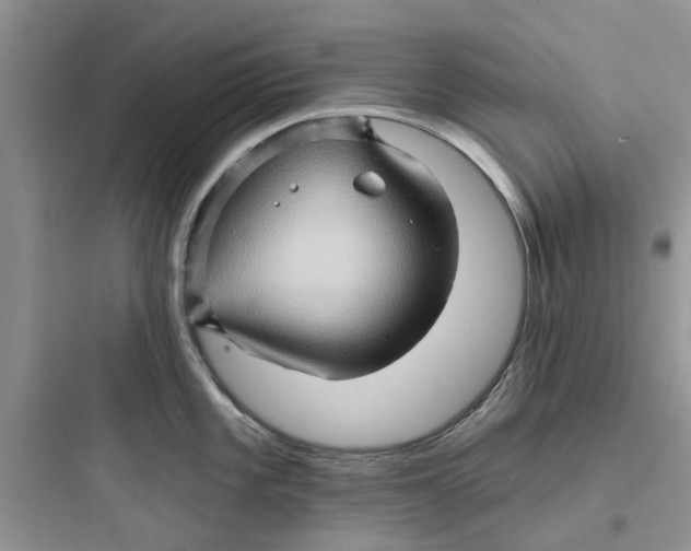 X0000097651101200803211850