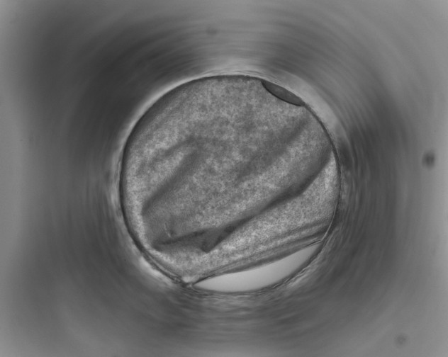 X0000097651102200803211850