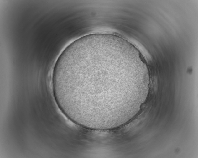 X0000097651103200803211850