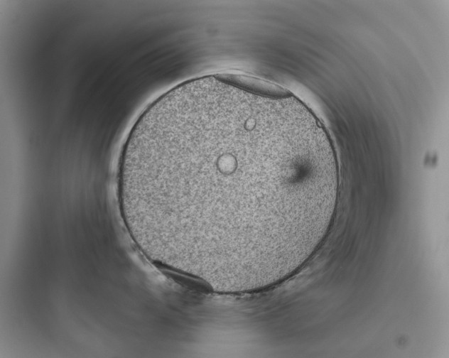 X0000097651104200803211850