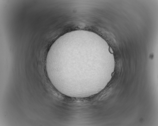 X0000097651105200803211849