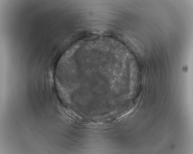 X0000097651106200803211849