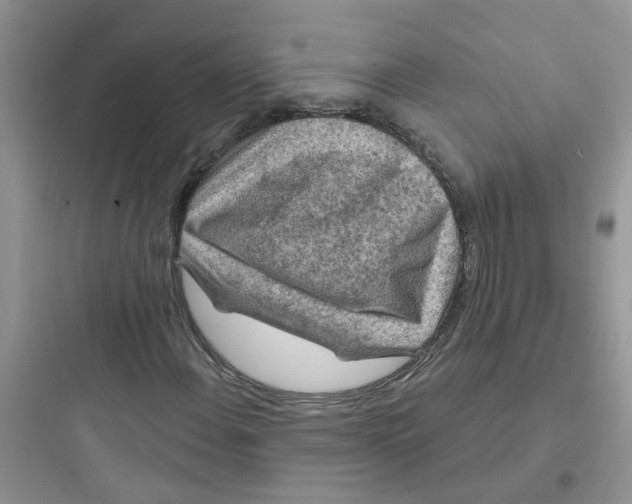 X0000097651108200803211849