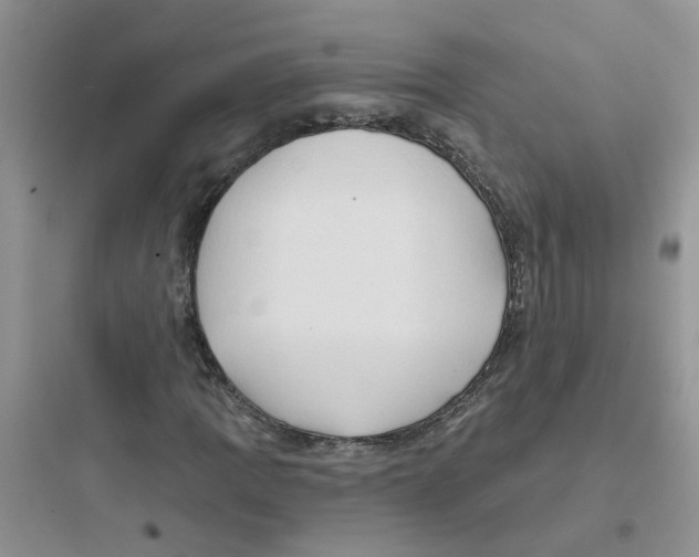 X0000097651109200803211849