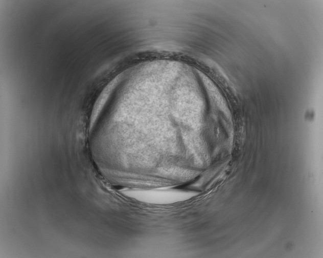 X0000097651110200803211849