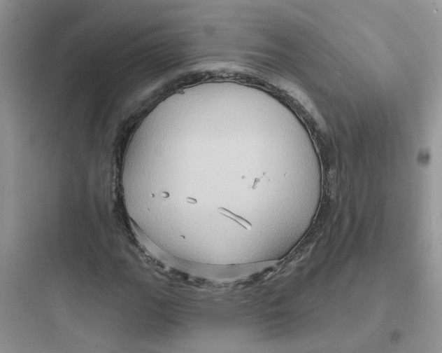 X0000097651111200803211849