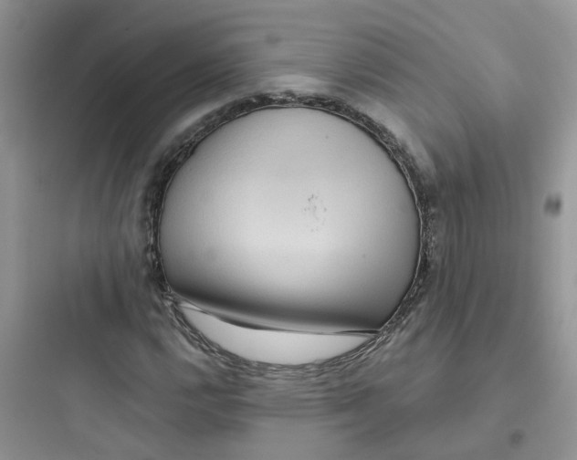 X0000097651112200803211849