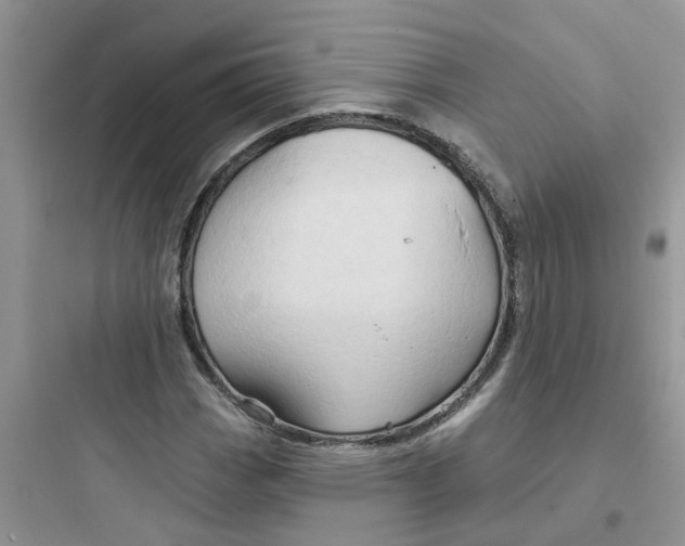 X0000097651113200803211849