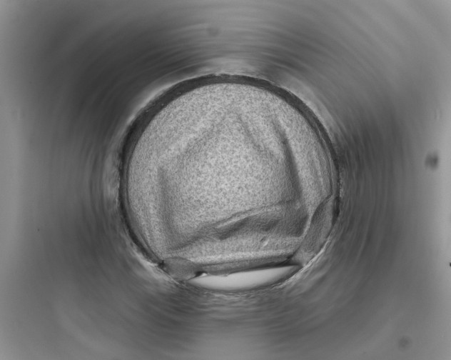 X0000097651115200803211849