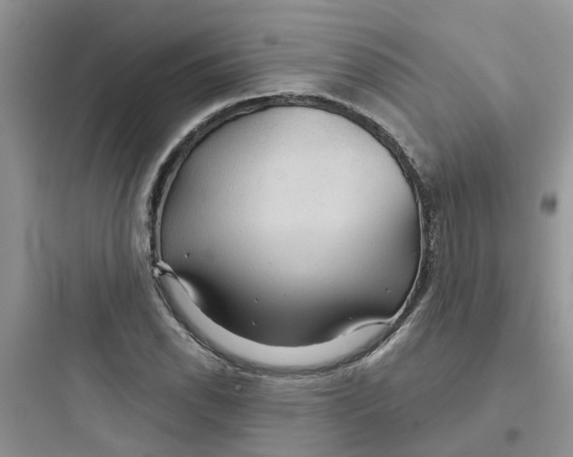 X0000097651118200803211849