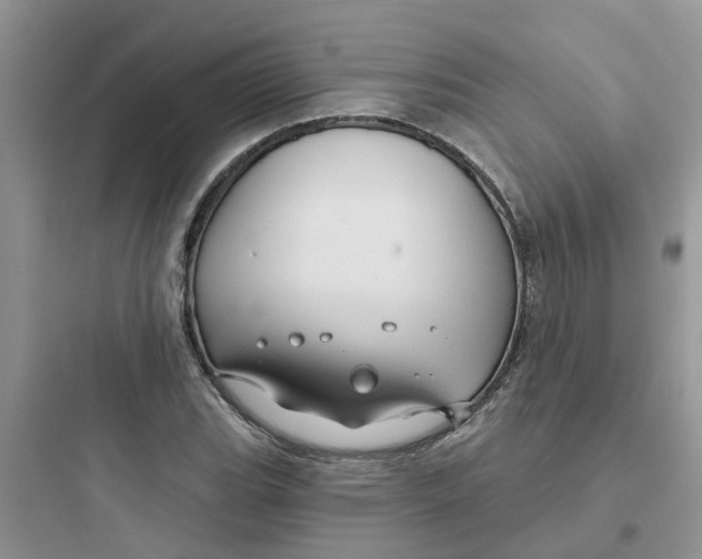 X0000097651119200803211849