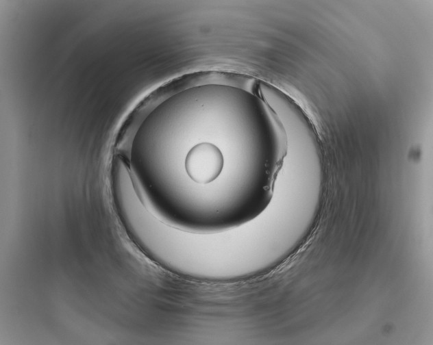 X0000097651120200803211849