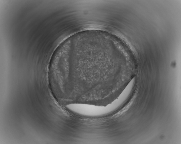 X0000097651121200803211849