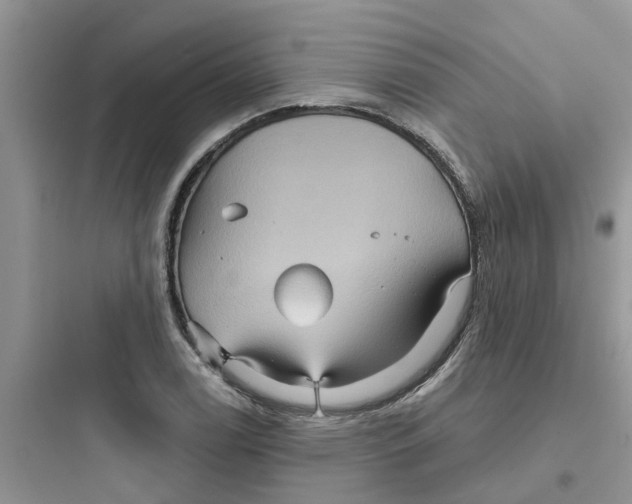 X0000097651122200803211849