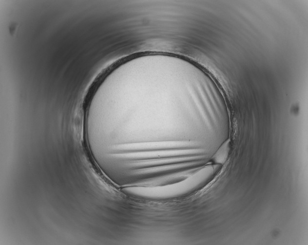 X0000097651123200803211849