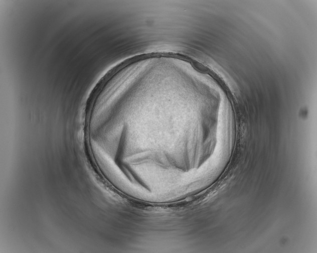 X0000097651124200803211849