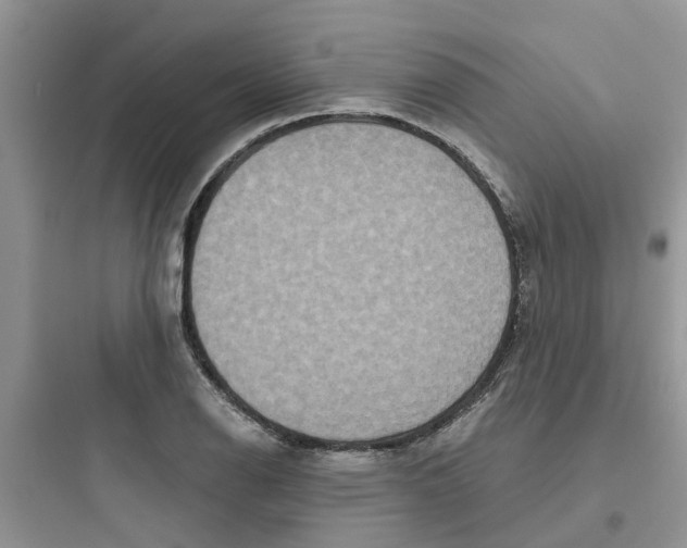 X0000097651126200803211849