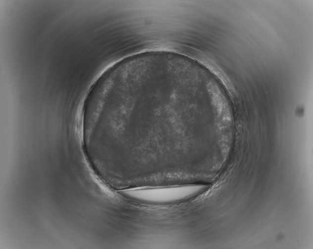 X0000097651127200803211849