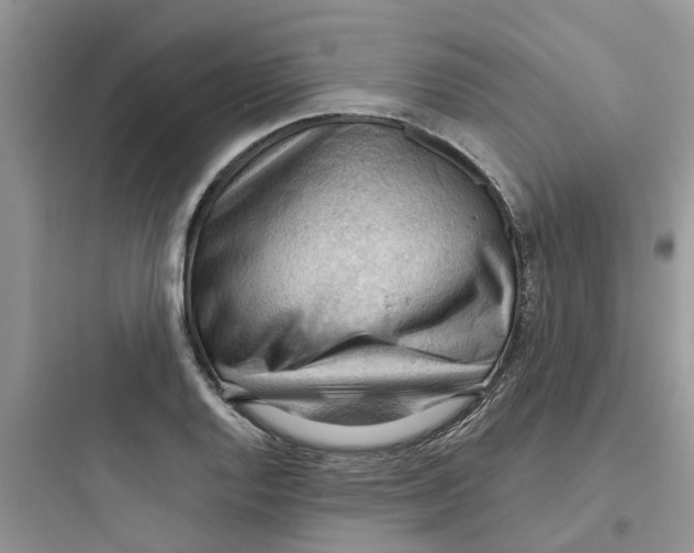 X0000097651128200803211849