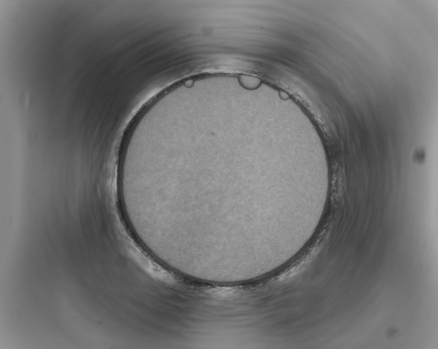 X0000097651130200803211849