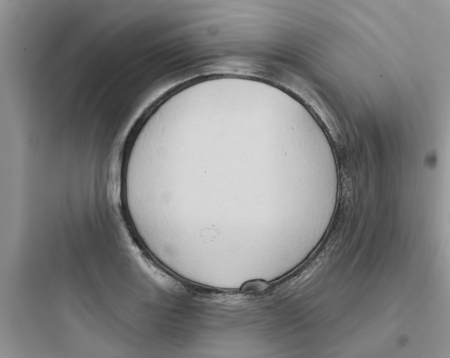 X0000097651131200803211849