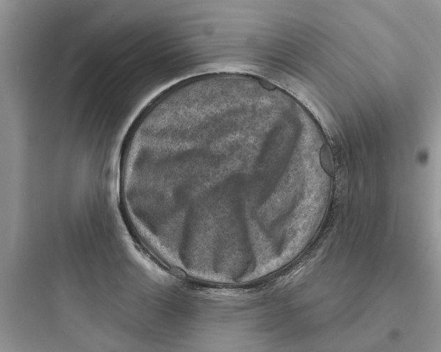 X0000097651132200803211849