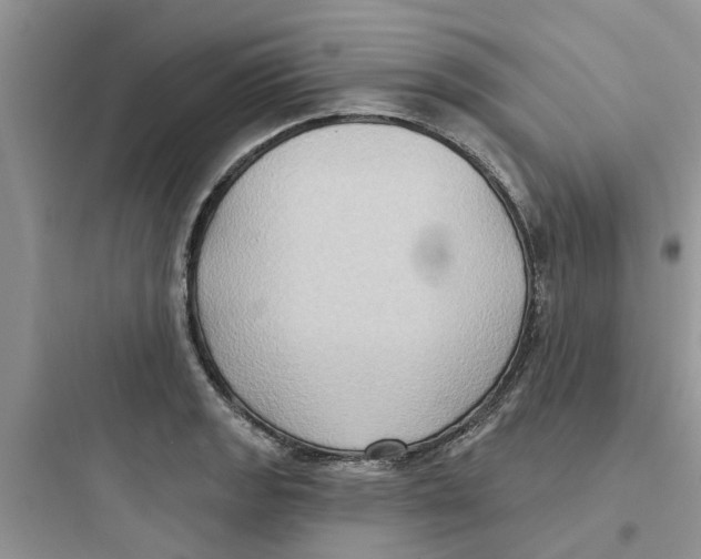 X0000097651133200803211849