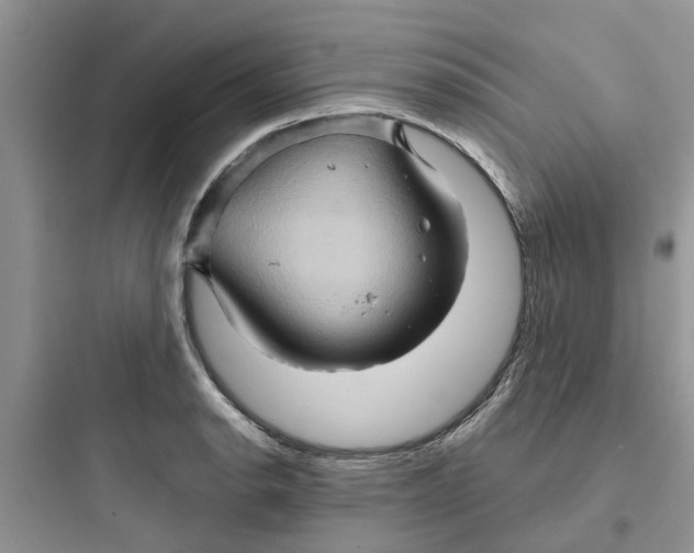 X0000097651134200803211849