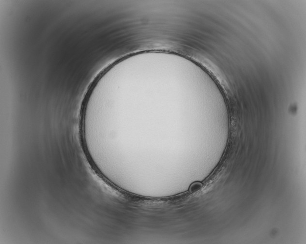 X0000097651135200803211849