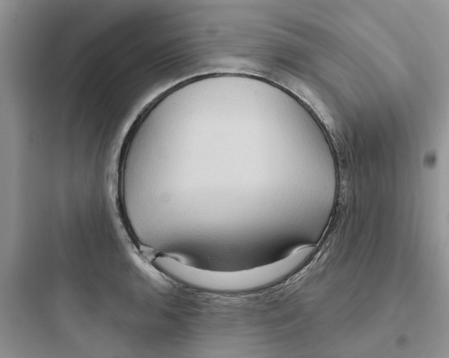 X0000097651136200803211849