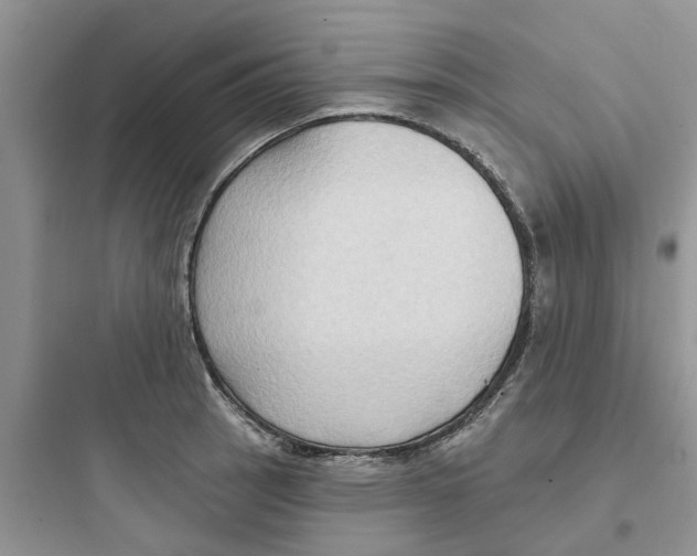 X0000097651137200803211849