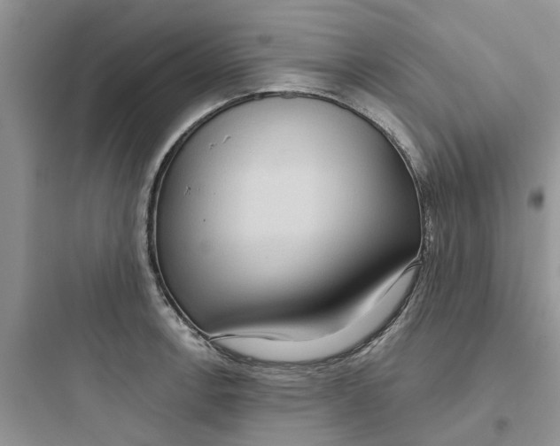 X0000097651138200803211849