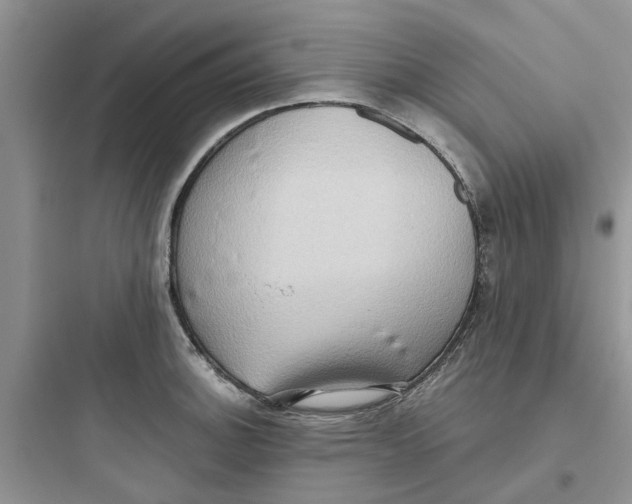 X0000097651140200803211849