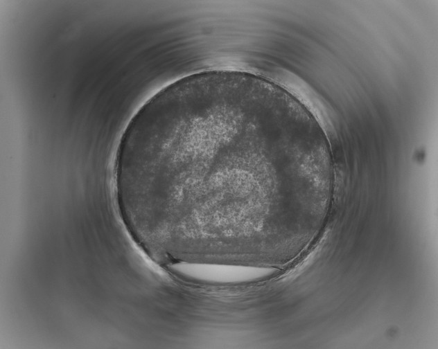 X0000097651141200803211849