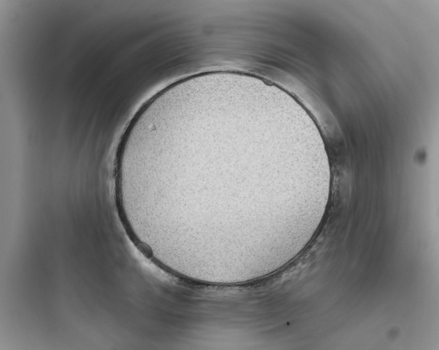 X0000097651143200803211849