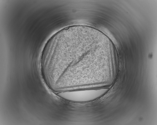 X0000097651144200803211850