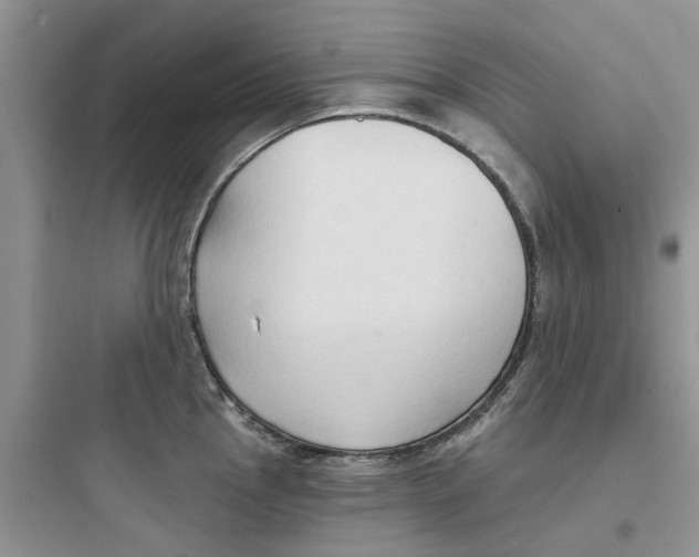 X0000097651145200803211850