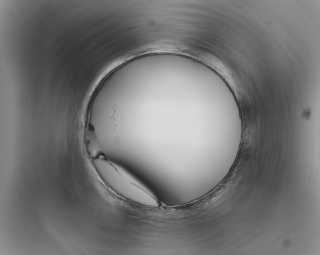 X0000097651146200803211850