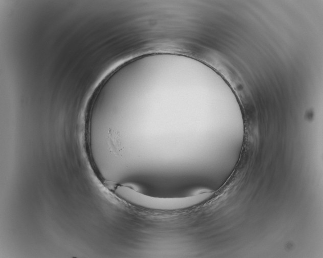 X0000097651147200803211850