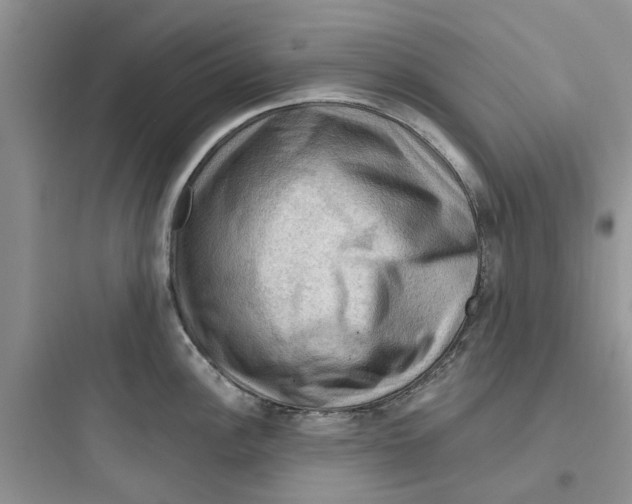 X0000097651148200803211850