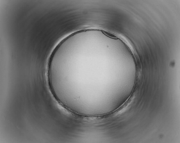 X0000097651149200803211850