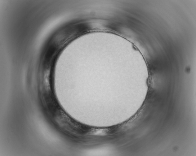 X0000097651150200803211850