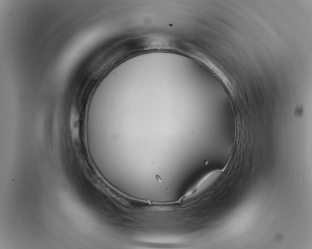 X0000097651151200803211850