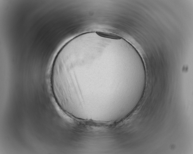 X0000097651152200803211850