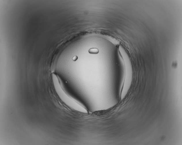 X0000097651154200803211849