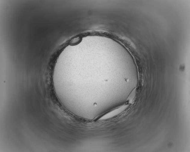 X0000097651159200803211849